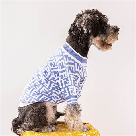 fendi dog jumper|Fendi family sweater.